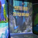 자원부화장 | 울산 아기랑 실내 갈만한 곳, 태화강생태관 물빛놀이터 리뉴얼 후기