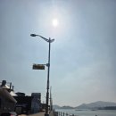 파랑새펜션 네이버블로그