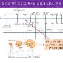 로그라인 이미지