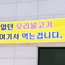 황금오리하우스 이미지
