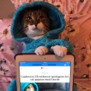 몽글몽글 이미지