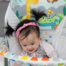 앤 투게더 키즈 풀빌라 | [공지] 홍천아이와숙소_사계절온수풀 키즈놀이터 앤투게더키즈풀빌라