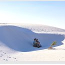 White Sand Dunes 이미지