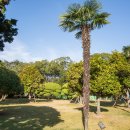 국립소록도병원 이미지