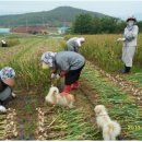 완수농장 이미지