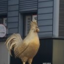 민정 태양광발전소 이미지