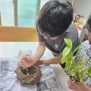 26.06.06. Horticultural therapy(화산석 꾸미기) 이미지