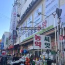 성지순례길 | [산티아고]종로5가 등산용품의 성지 에이스 아웃도어 산티아고 순례길 등산가방 오스프리 시리어스 36...
