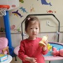 투머치샌드위치 이미지