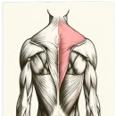 해운대 Gym 이미지