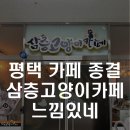 삼층고양이 이미지