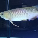 병진농장 이미지