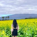 제주엘펜션 이미지