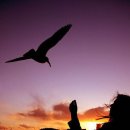 그대와 나 이미지