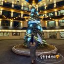 행복한 꿈을 꾸는 | 강원도 강릉 감성숙소 추천 유메모리 료칸 12월 겨울 커플여행