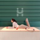 지유스포츠 | 홈베스트 요가매트과 더스트랙 스포츠 홈짐매트 후기 (내돈내산)