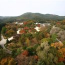 국립수목원 이미지