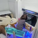 더카페어울 이미지