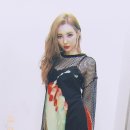 선미 이미지