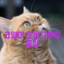 오늘도, 그루밍 이미지