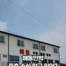 해동민박 이미지