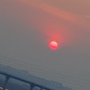 벨스타 | [카페] 벨스타 커피 후기