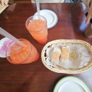 토담레스토랑 | [물왕저수지 맛집] 토담 레스토랑 파스타 내돈내산 후기, 물왕저수지 벚꽃개화 현황