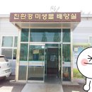 달콤한꿈을꾸는베리농장 이미지