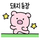 스시누리 이미지