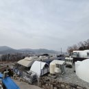 하늘샘물펜션 | 강화도펜션 :: 자연 속에서 여유 즐기기 좋은 곳 ☕ 하늘샘물펜션에서 힐링하고 온 하루 후기
