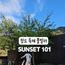 선셋101
