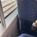 삼산중로 | 2025 #50.