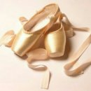 새샘태권도 이미지