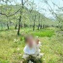 신나는어린이집 이미지