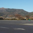 낙안카센타