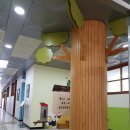 쌍정초등학교 이미지