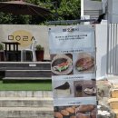 [거제] 카페 매오로시 내돈내산 솔직후기