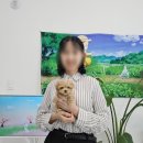 동두천-045 네이버블로그