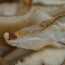 박준호농장 이미지