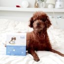 곰곰동물병원 이미지