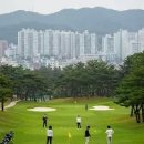 화정파크골프장 이미지