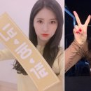 솜이랑 이미지