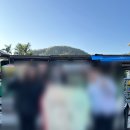 투어] 스펀 천등 날리기 색상별 의미 &amp; 인생샷 찍어주는 꿀팁! 닭날개 볶음밥 솔직 후기까지 완벽 정리
