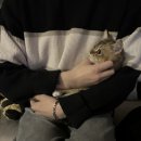 록갤러리 네이버블로그