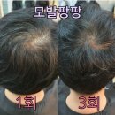 큐사랑팡팡
