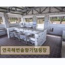 송림 | 강릉 펜션 추천! 연곡해변솔향기캠핑장 바다와 솔향기 품은 휴식처