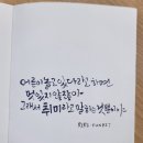 수채 담은 캘리그라피 이미지