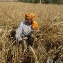 (주)풍산사료 이미지