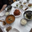 여수 맛집 인생 첫 서대회와 장어탕에 반하고 온 ‘광장서대회 이순신광장점’ 솔직후기