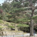 화담다인 | 화담숲 단풍 후기 10월 25일 방문 주말주차•단풍개화•모노레일 비추천